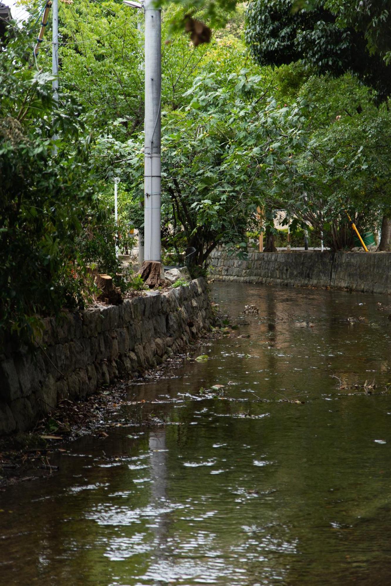 初音 Apartment Kyoto Bagian luar foto