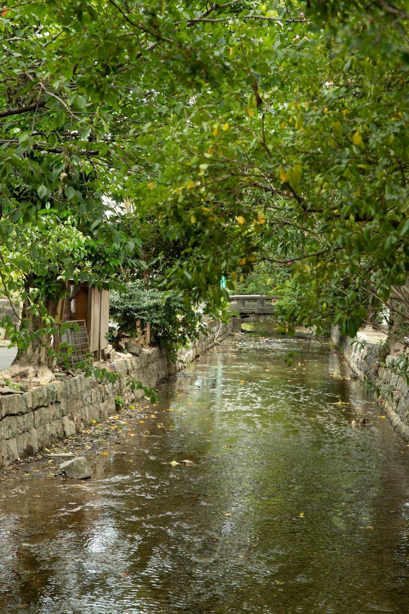 初音 Apartment Kyoto Bagian luar foto