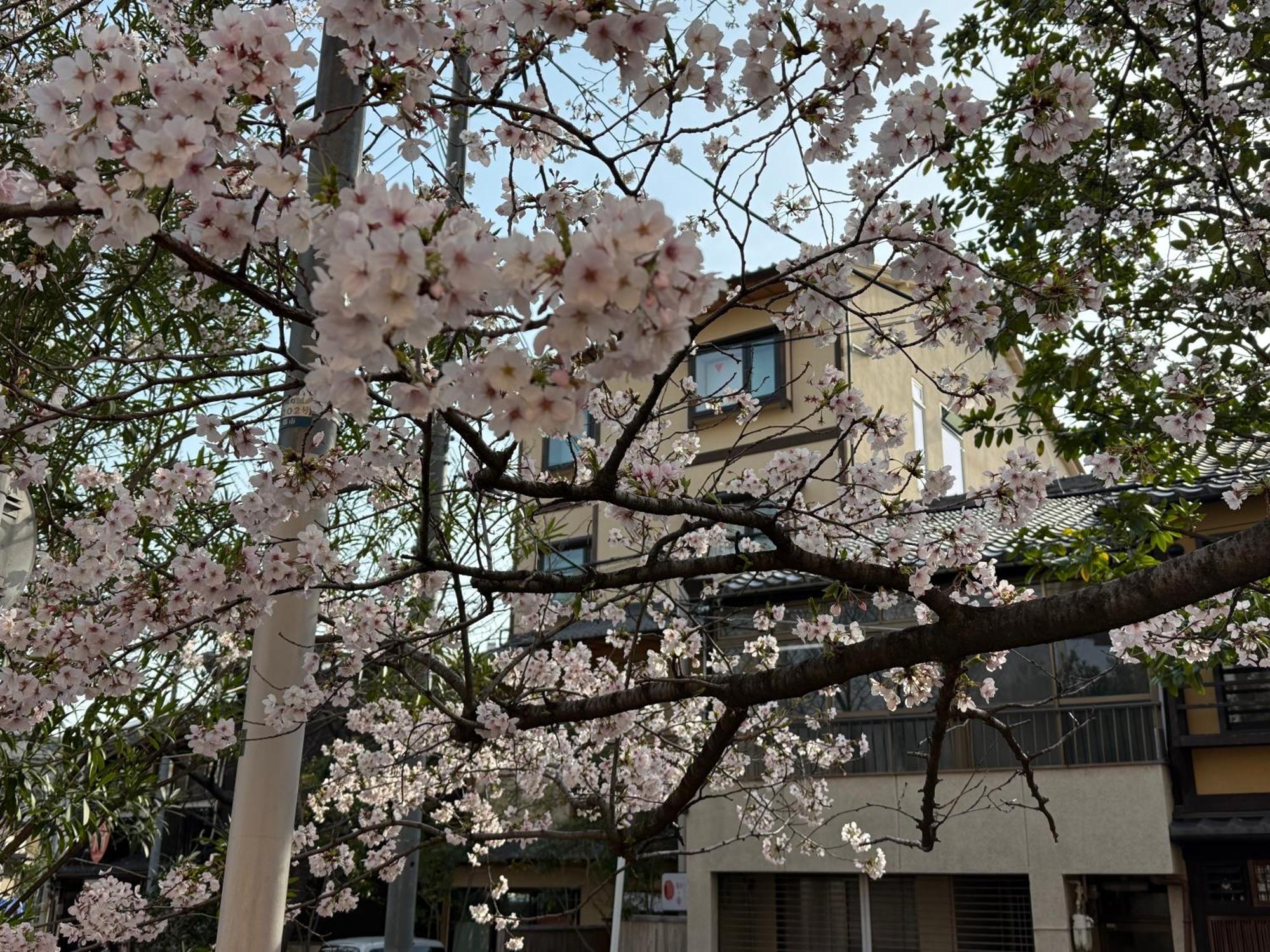 初音 Apartment Kyoto Bagian luar foto