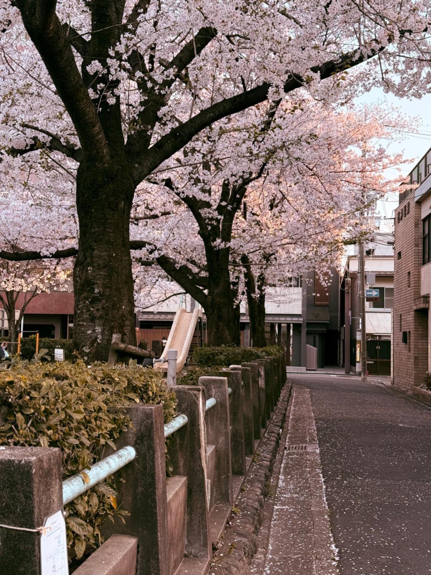 初音 Apartment Kyoto Bagian luar foto